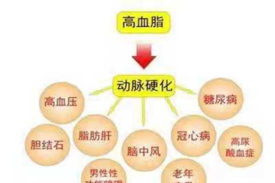 血管|高血脂“克星”公开，避免做这几件事，血管干净通畅