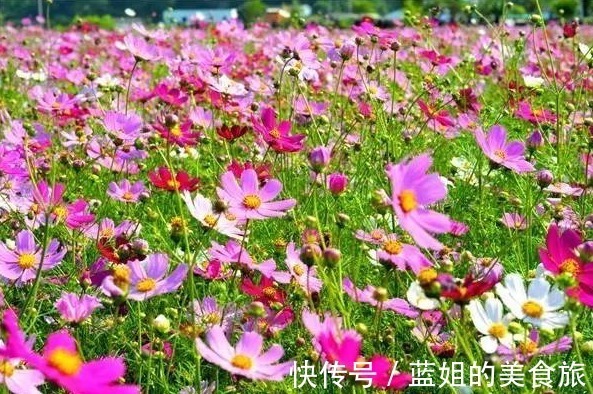 房价|政策刺激!董明珠预测成真,房价真的没上涨支撑了