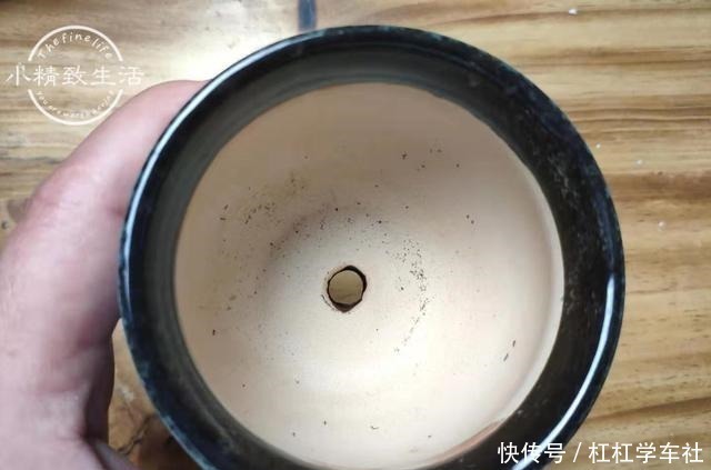 肉友们|养多肉要会控水,注意6点,1个小技巧,肉肉不用施肥也很胖!