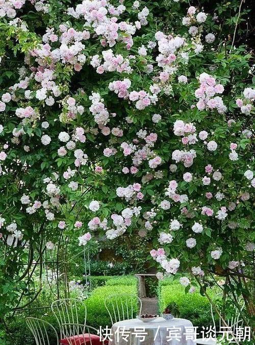 7个绝美花园,个个美炸了天,等有钱了我也要建一个