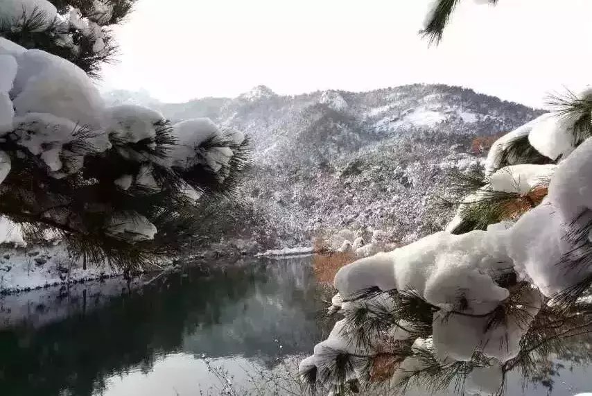 昆嵛山|一场冬雪后，昆嵛山竟变成这样……