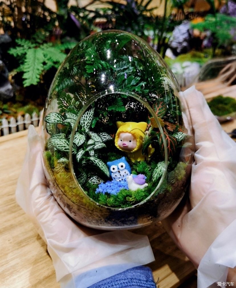 冬天的峨眉一个童话般的冰雪世界，真是美不胜收