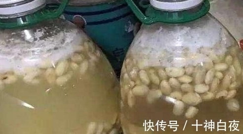 养花强根用黄豆水,制作中多添些“它”就没有臭烘烘的味道