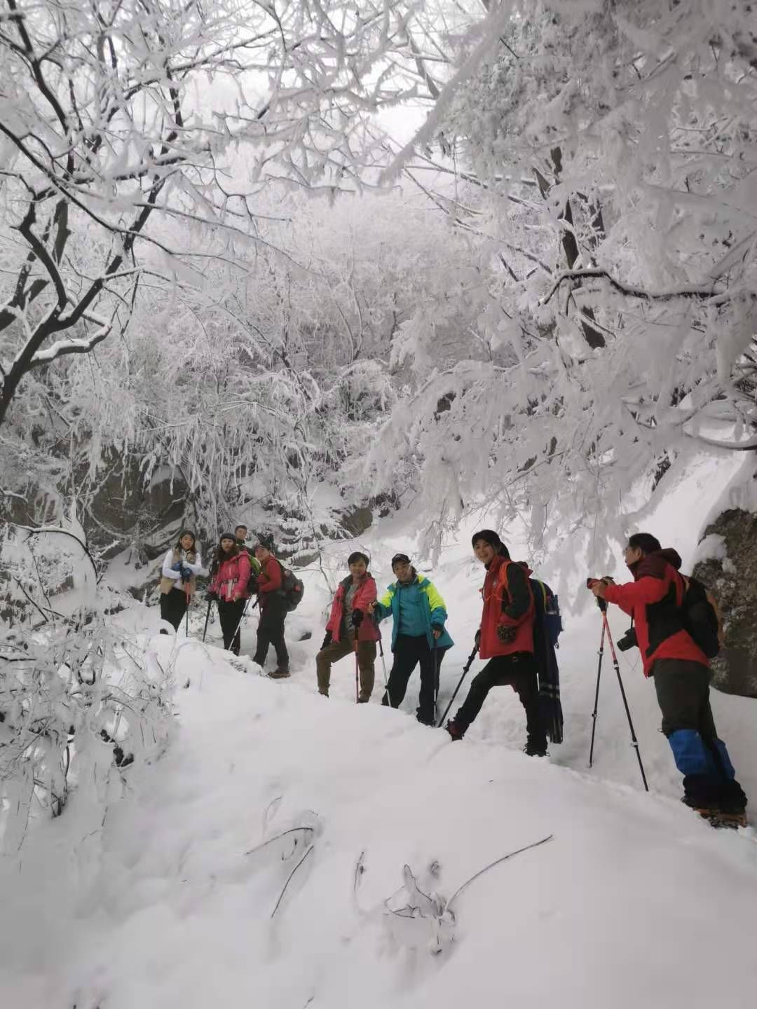 征集|【年末福利征集】雪后南五台幸遇云海