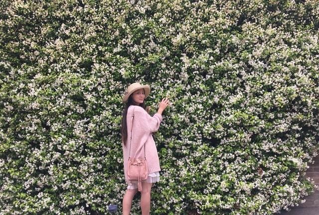 桂花香|此花“天下第一香”，一年花开288天，比桂花香10倍，比绿萝好养