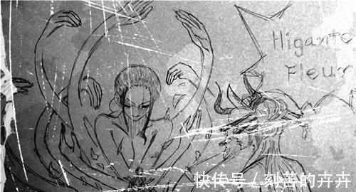 情报|海贼王1020话国内情报师大战，不确定情报发布！