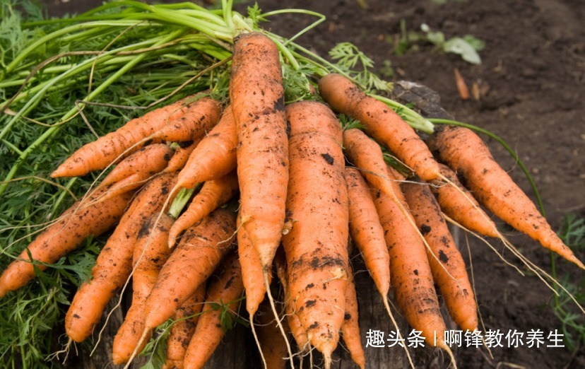 胡萝卜素|贫血“最怕”此食物，常吃可以增强造血功能，越吃越年轻！