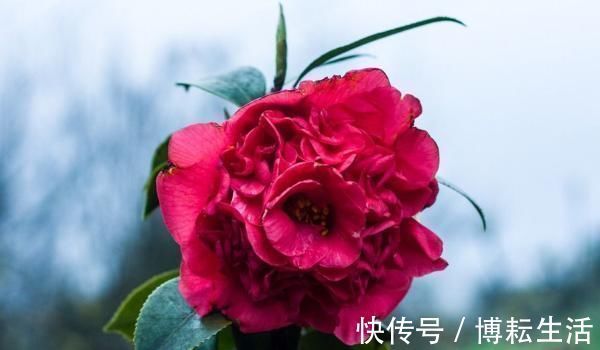 征兆|“人不成器,必有征兆”,人到40岁还喜欢做4件事,难有大出息