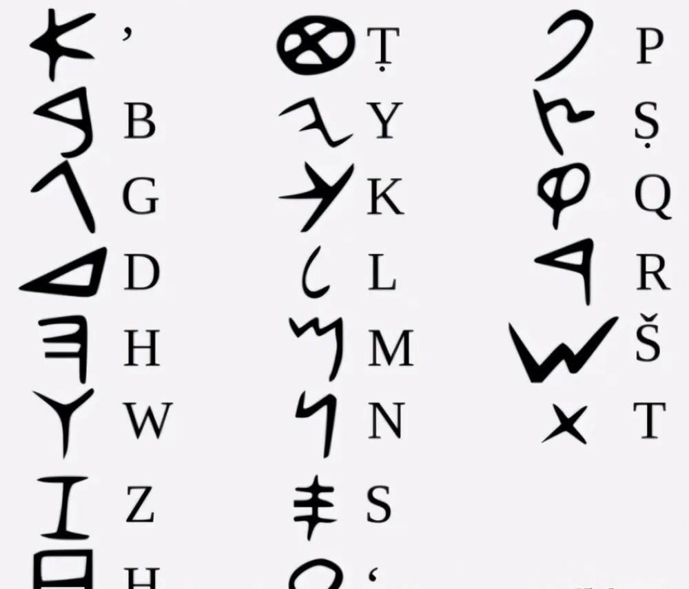 为什么说汉字和其他文字走上了不同的路