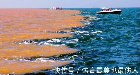 渤海水|为什么渤海水和黄河水不相融，专家揭秘无非就这两个原因，太神奇