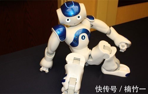 学习能力|会说相声会打太极,中国的“功夫熊猫”有多牛?老外都不可思议