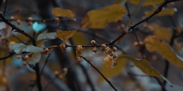 带你走进山东大学，在那里学习是什么样的体验