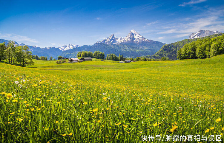 张振国|两位癌症患者，1个在医院倾尽所有，1个到处游山玩水，谁做得对？