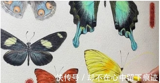 “水哥”王昱珩:2个月逆袭上清华,从未打过工,他把生活过成诗