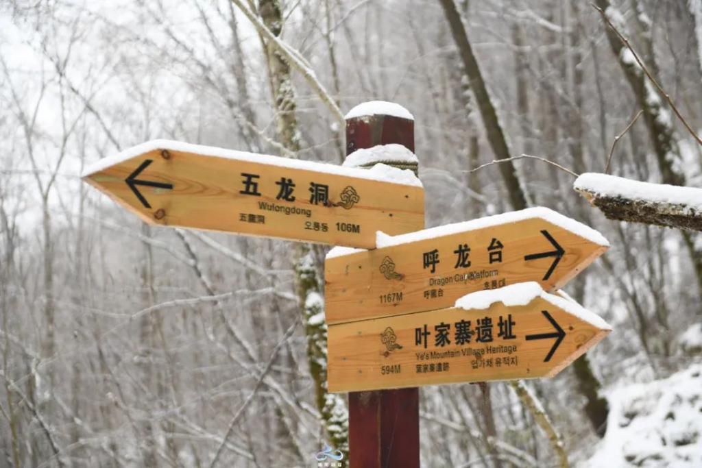 县区|初雪！周边县区雪景美图来袭！