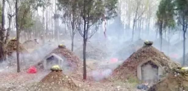  古庙之中|“宁可夜宿荒坟，不可夜居古庙”，是何意？古庙比荒坟更可怕吗？