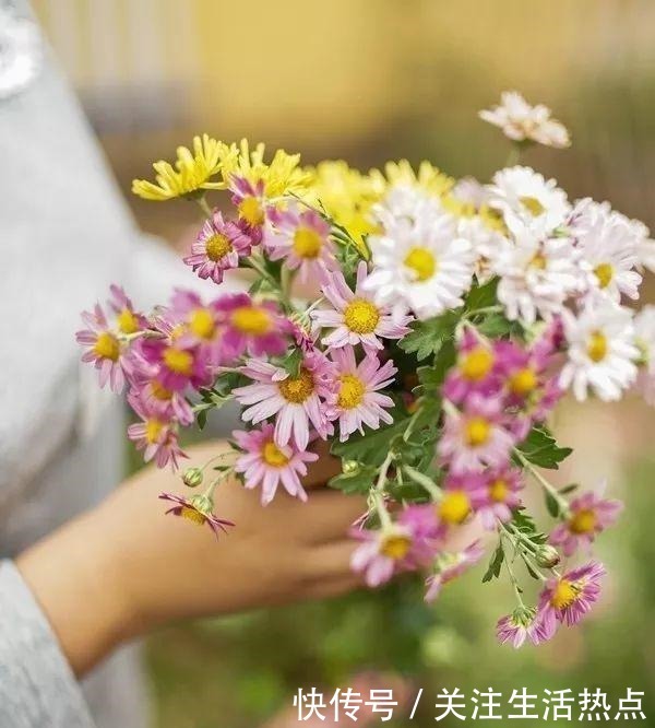 旧农舍改造成花园，一年四季花开不断，邻居看了羡慕的不得了！