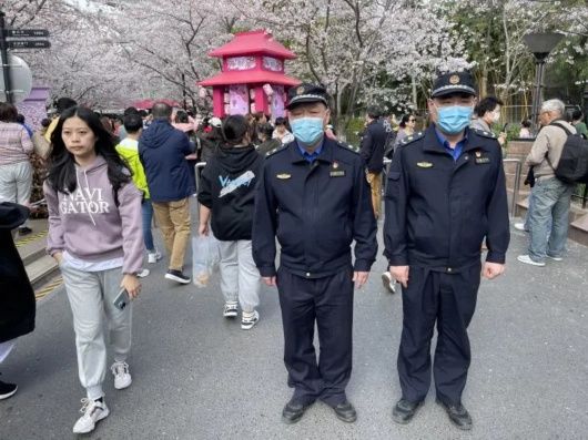 HOST樱花节与最美地铁站，由他们守护！