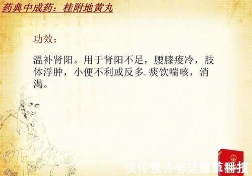 桂枝|桂附地黄丸和金匮肾气丸各自的功效有什么不同?