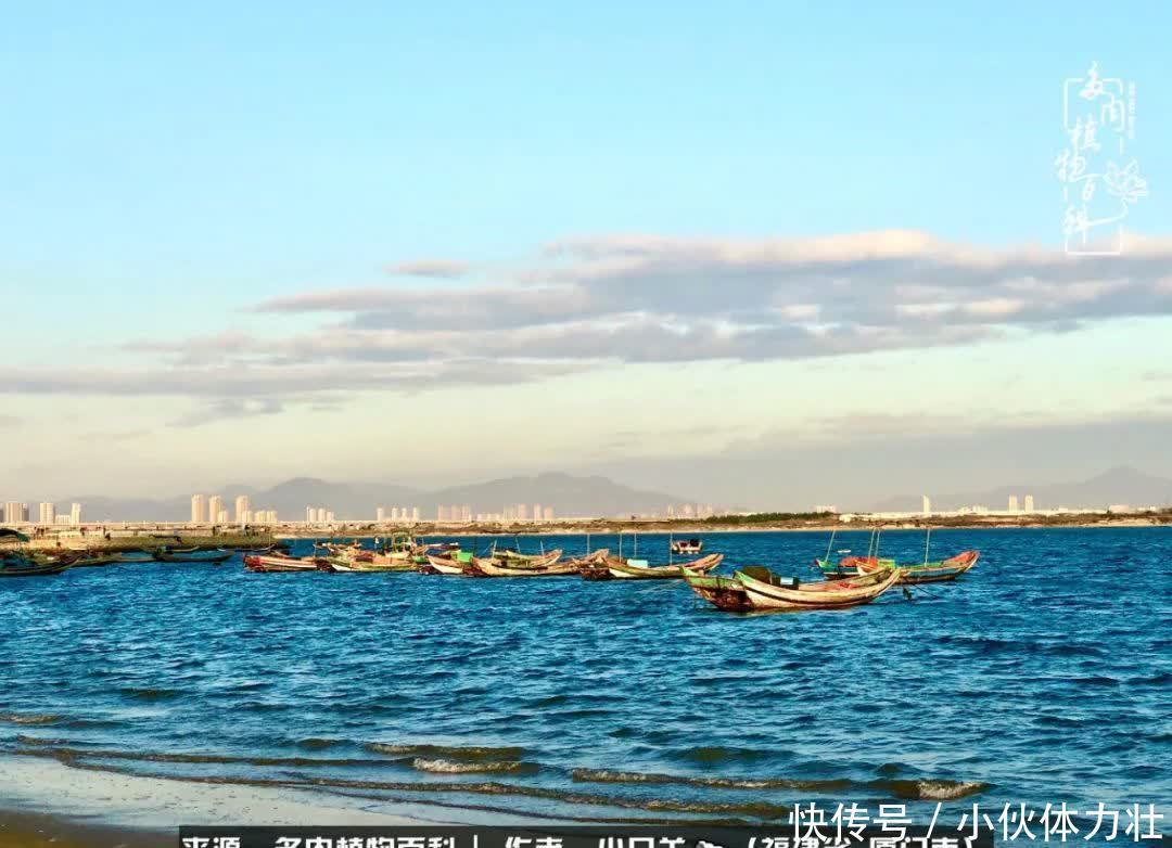 多肉,似星辰大海般的璀璨!