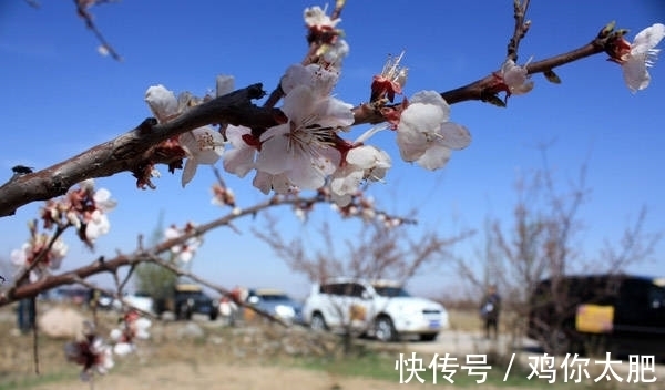 关照|9.1号开始，好运来临，财运挡不住，吉祥关照，事业有成