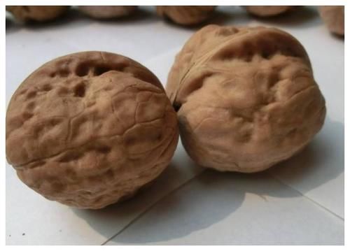 冬病夏治|女人怀孕后,4种常见食物平时放开肚子多吃,或对胎儿发育有好处