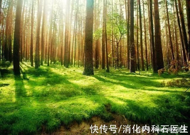 手机|60岁的静脉血栓发生于9岁孩子,久坐危害就这些孩子,爸妈错了