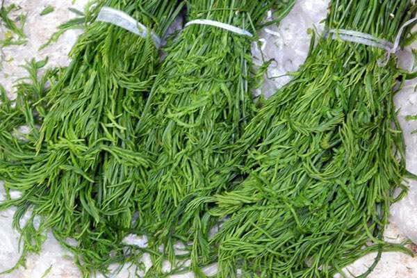 营养|想长寿得会吃,4种食物要多吃,营养丰富,滋补身体,试试吧