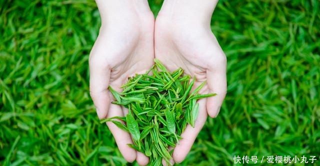 普洱茶|它是糖尿病“头号克星”, 天然二甲双胍, 早晚吃一口, 血糖不上升!