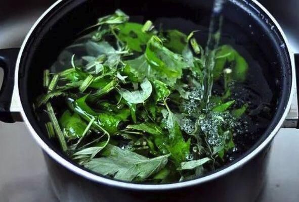 止痒|惊呆了！夏天用艾草煮水，竟有这些神奇功效