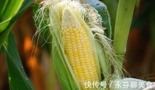 桑葚|女人不想老, 这些食物要多吃, 补充胶原蛋白, 恢复年轻好气色!