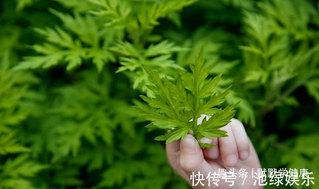 阳气|利用肚脐眼养阳,照着这样做提升阳气,秋冬少生病!