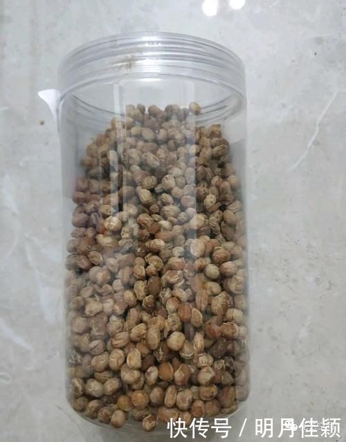 君子兰发财树天竺葵三角梅|这5种懒人方法,养君子兰发财树天竺葵三角梅都行,养花人需知