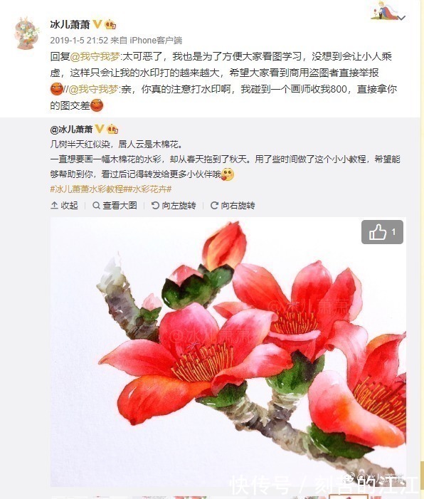 花瓣@水彩这样画,也太美了吧!居然把花瓣画出透明的感觉,看完忍不住保存!