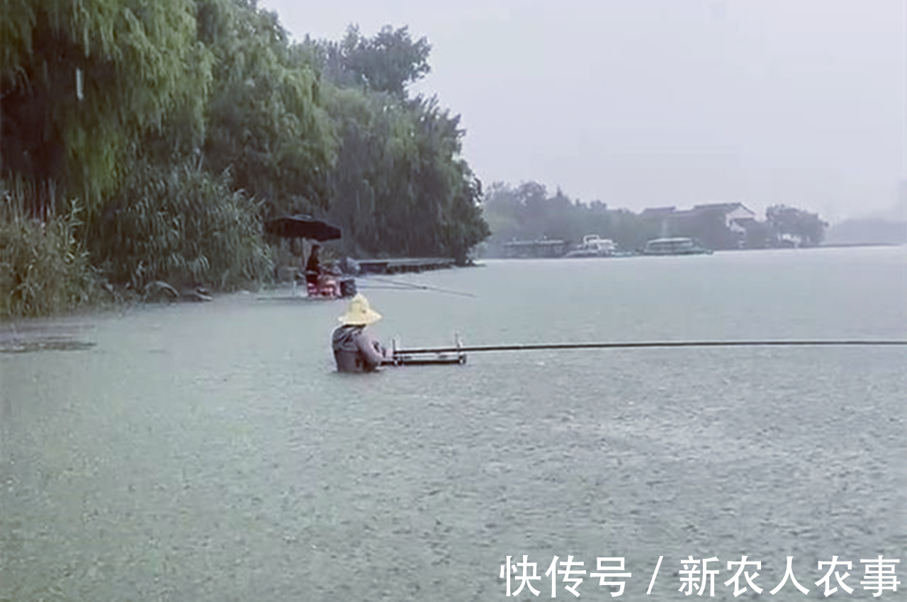 钓鱼|钓鱼也有瘾?江苏男子冒着暴雨在湖边垂钓,水淹到脖子仍纹丝不动