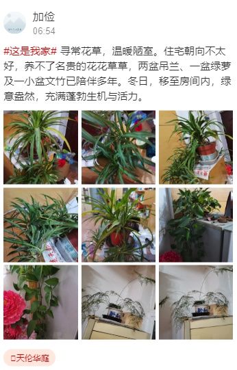 宝剑锋|这哪里是冬天，你看亭边的小树已发芽，春姑娘来我们小区啦