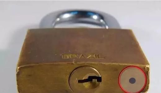 灰质|14条日常生活中不常见到的小知识,让你了解不一样的小知识