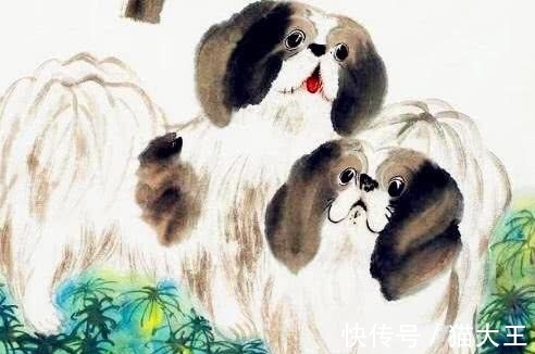 牛人|今年这三大生肖运势最好，贵人运超强