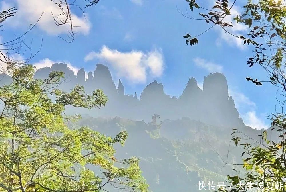 温泉|见血封喉、眼镜王蛇，户外达人探险登峰之旅，是天然的动植物王国