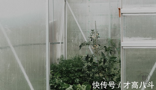 九不过#人生“九不过”,句句含天机(必读)