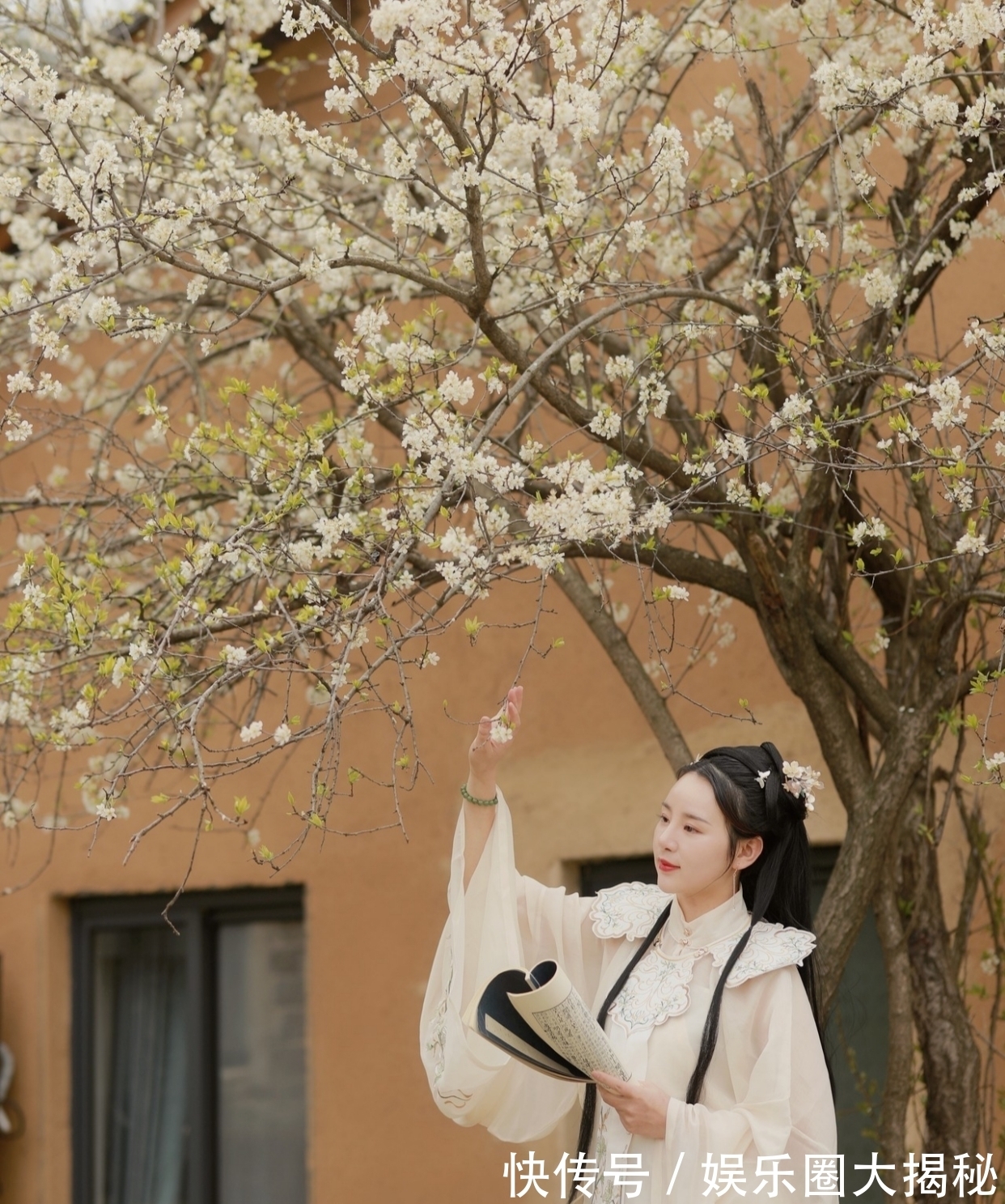 两地人@七言绝句:冬来昼短辞长夜,却见金梅竞艳开