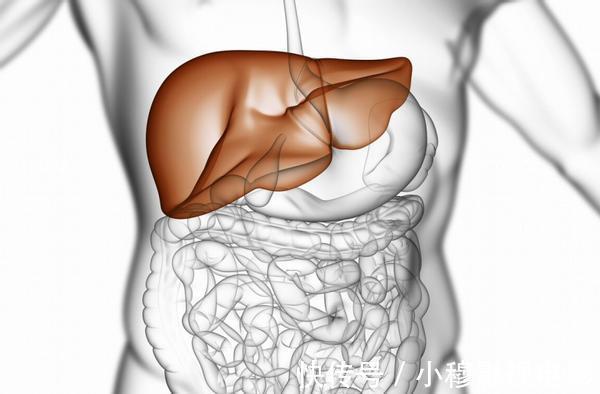 不良习惯|肝病发现即晚期？身体出现这3种异常后，或是肝病前兆，莫忽视