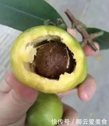  被南方“抛弃”的水果，一年结果3次，香甜解渴，现北方人抢着吃