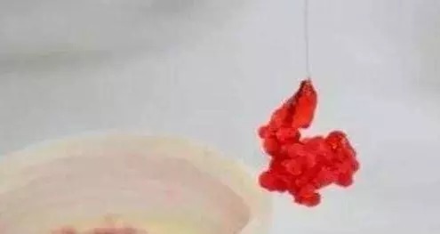 蚯蚓做饵没鱼口，这样先加工下蚯蚓，渔获暴增数十倍！