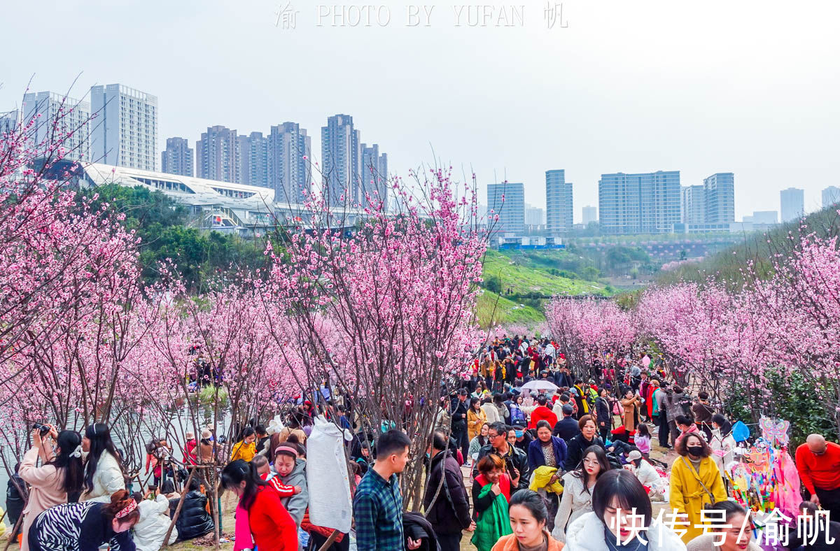 康庄|重庆主城地铁旁的免费花海，游人摩肩接踵，真的太美太火爆了