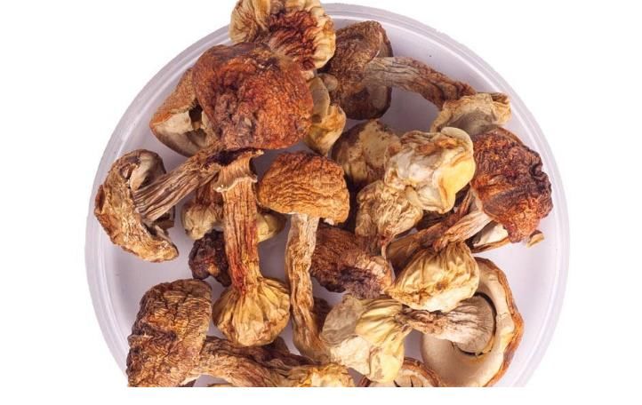 女子|23岁女子查出HPV，医生大骂：有3样东西，再懒也不能和舍友共用