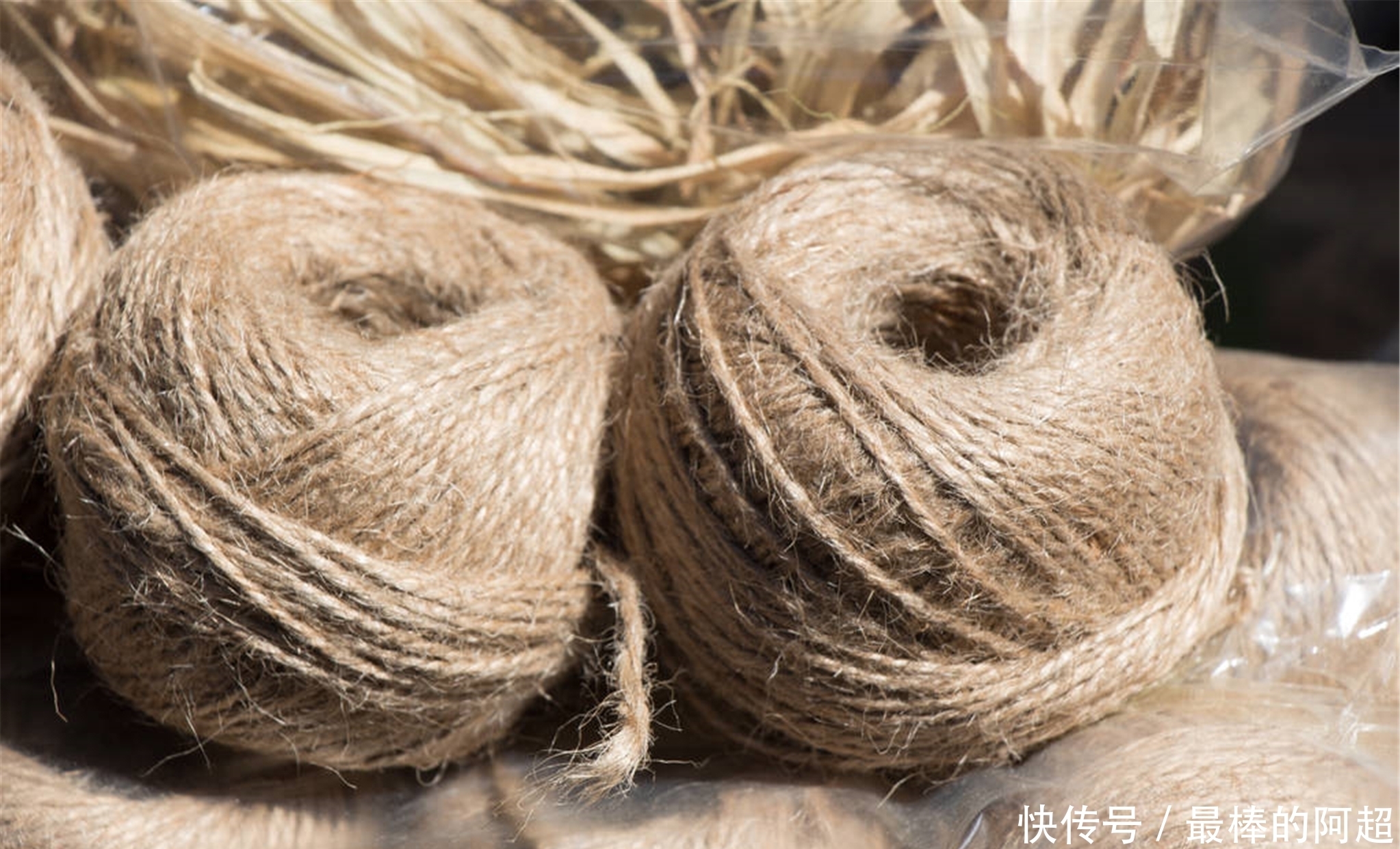 《诗经》中的第二首诗,《葛覃》为何会位列《关雎》之后?