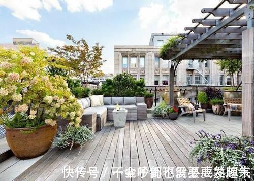 蚊虫|带院子的一楼和送阁楼的顶楼，到底该选哪个？建筑学家给出答案