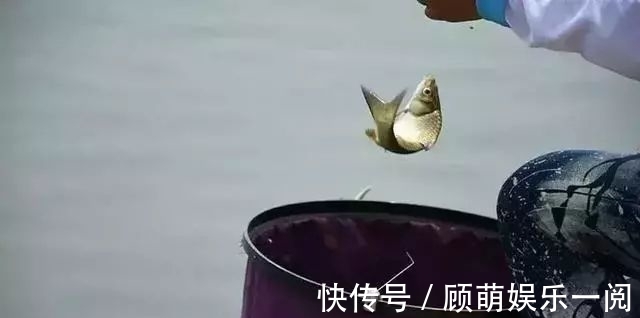 钓鲫鱼总是顶漂正常么?看完邓刚顿口调漂教学,野钓还是顶漂香