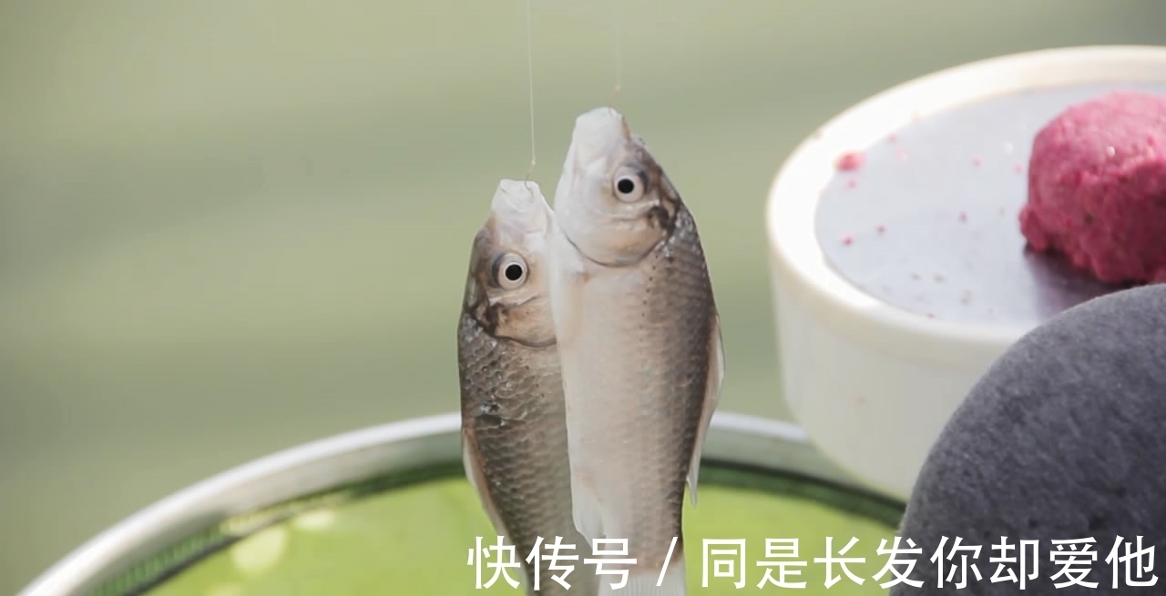 冬钓你会调漂吗?和夏季完全不同,按下面这思路调,小白也成高手